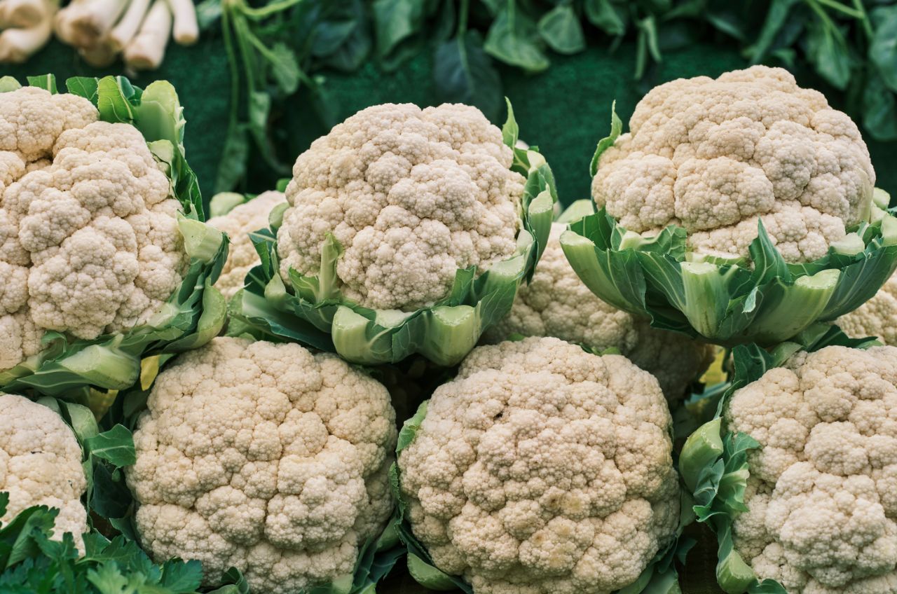 Fresh cauliflower vegetables